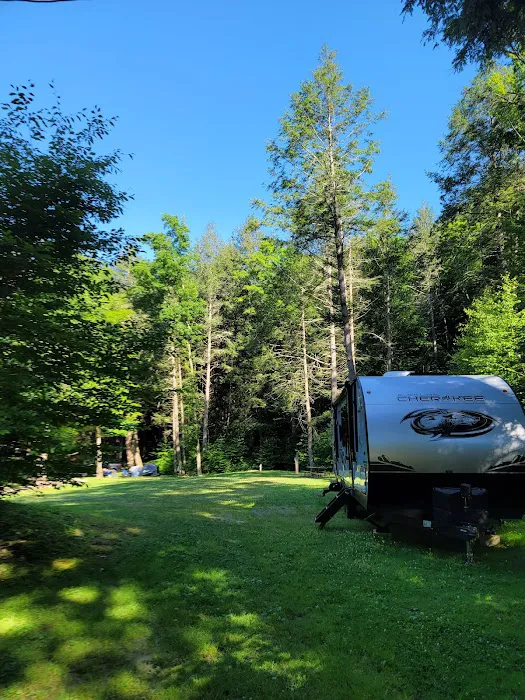 Russell Brook Campsites Picture 9