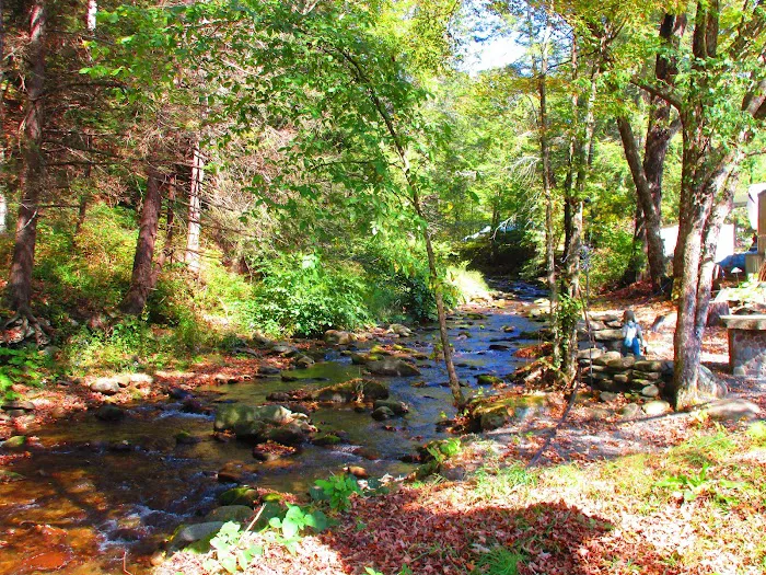 Russell Brook Campsites Picture 2