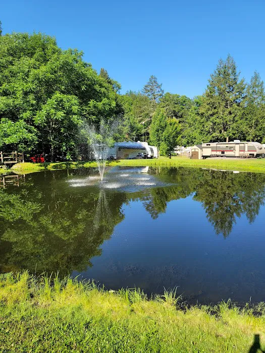 Russell Brook Campsites Picture 5