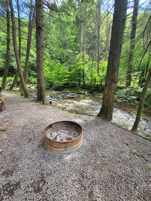 Russell Brook Campsites Picture 8