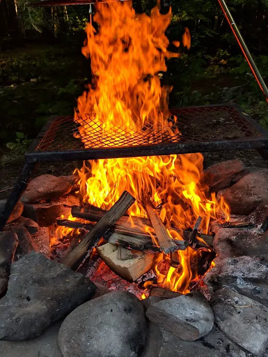 Russell Brook Campsites Picture 4