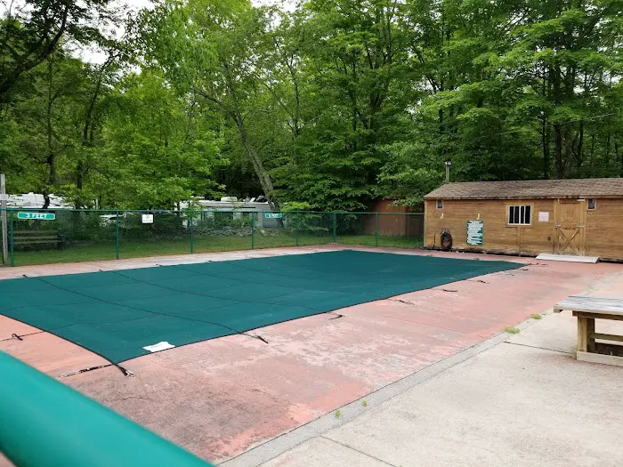 Russell Brook Campsites Picture 6