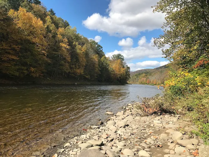 Butternut Grove Campsite Picture 3
