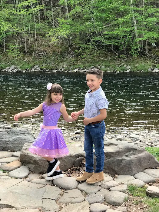 Butternut Grove Campsite Picture 7