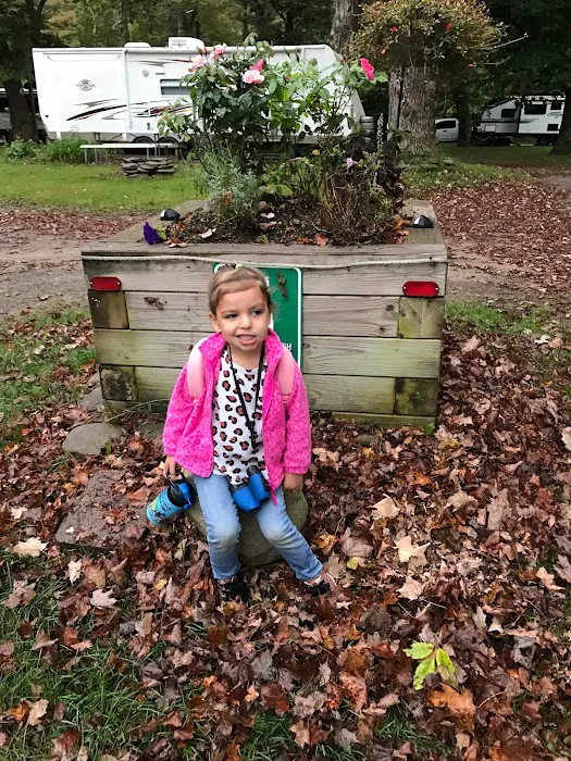 Butternut Grove Campsite Picture 10