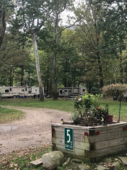 Butternut Grove Campsite Picture 9