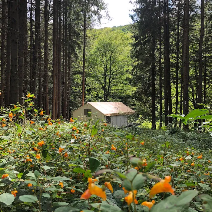 Wolf Hollow Camp Picture 1