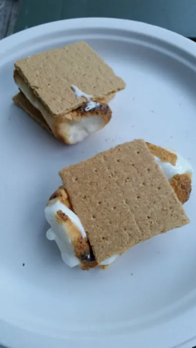 Terry's Shinhopple Campground Picture 1