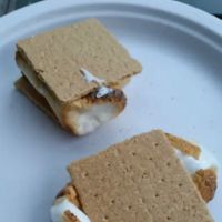 Terry's Shinhopple Campground ico