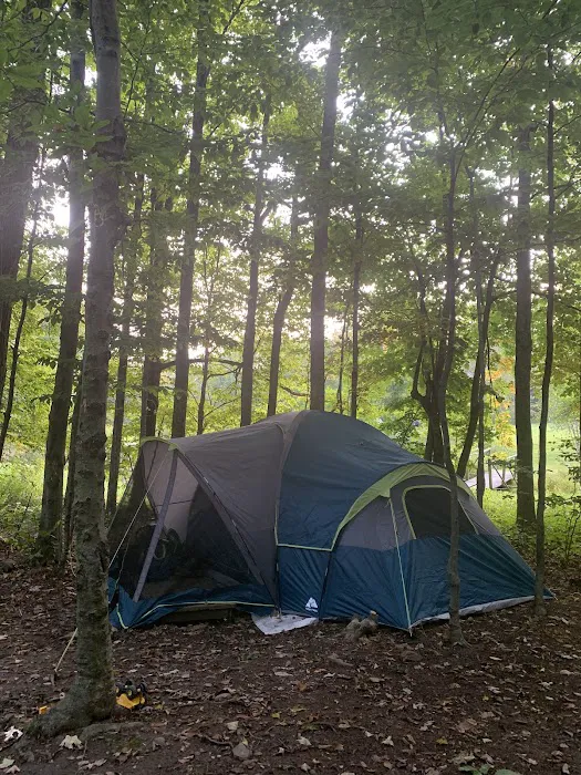 Valleyview Farm & Campgrounds Picture 6