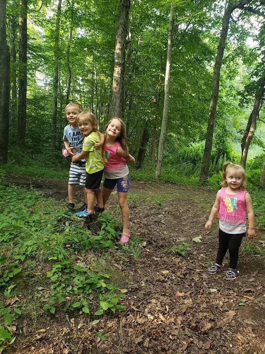 Valleyview Farm & Campgrounds Picture 8