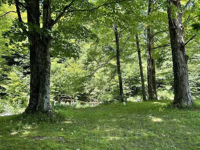 Pleasant Valley Campground Picture 5