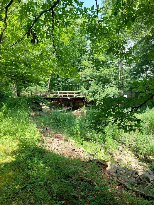 Pleasant Valley Campground Picture 6