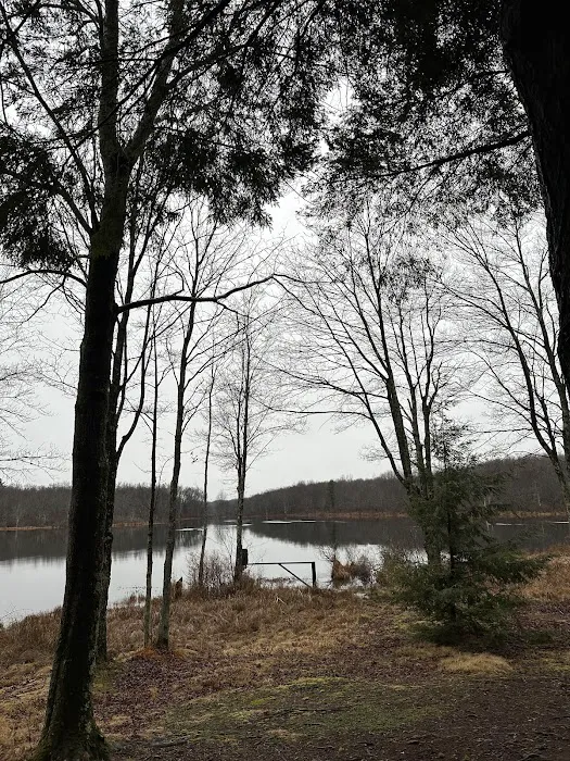 Hemlock Point Lodge Picture 4