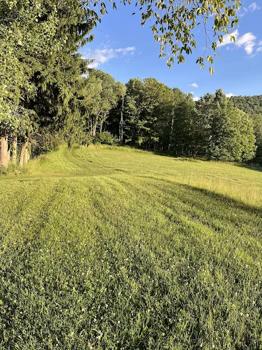 Shady Rest Campground Picture 2