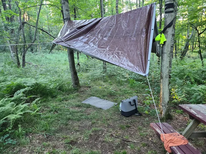 Shady Rest Campground Picture 8