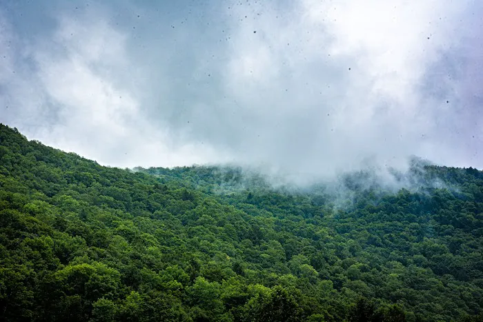 Peaceful Valley Campsite Picture 6
