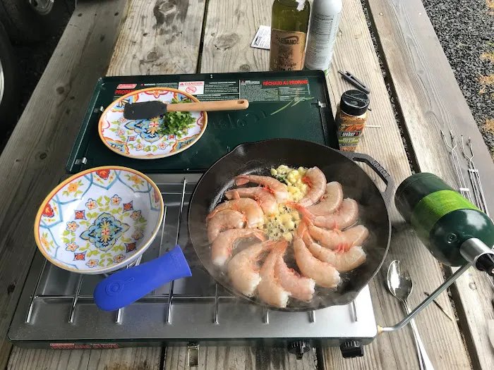 Treetopia Airstream Hotel and RV Campground Picture 4