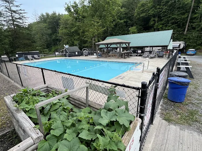 Treetopia Airstream Hotel and RV Campground Picture 1