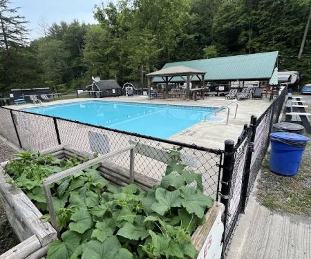 Treetopia Airstream Hotel and RV Campground