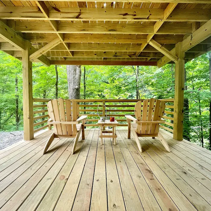 Treetopia Airstream Hotel and RV Campground Picture 8