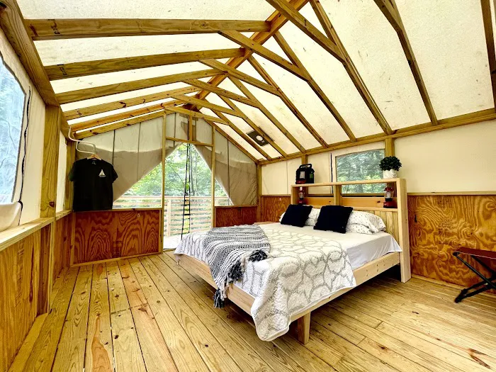 Treetopia Airstream Hotel and RV Campground Picture 6