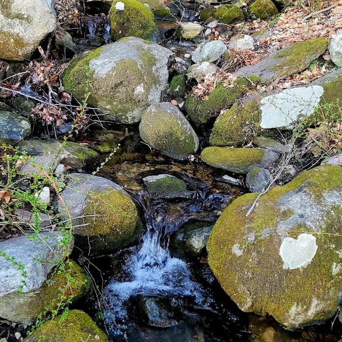 Freedom Farm Homestead, Inc Picture 5