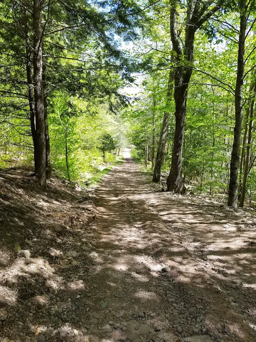 Camp Tri-Mount Picture 10