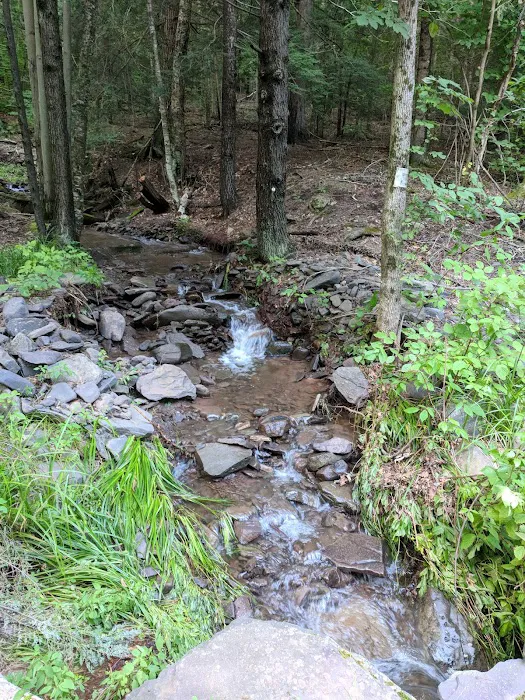 Camp Tri-Mount Picture 9