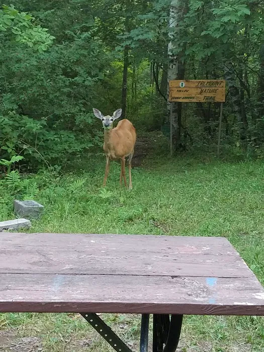 Camp Tri-Mount Picture 5