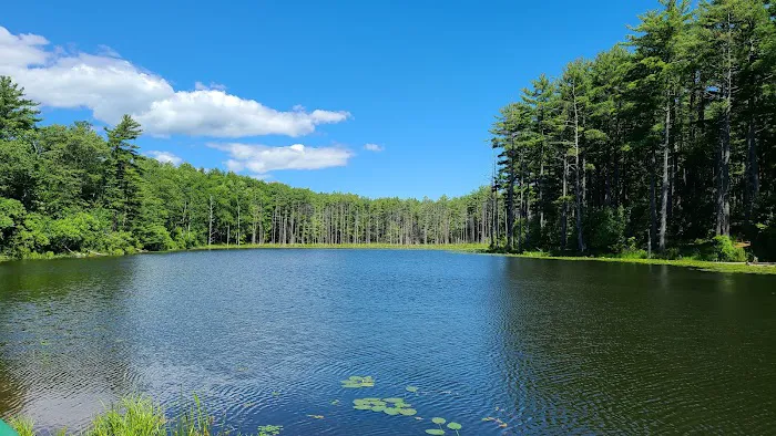 Whip-O-Will Campground Picture 4