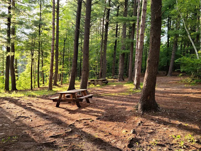 Whip-O-Will Campground Picture 3