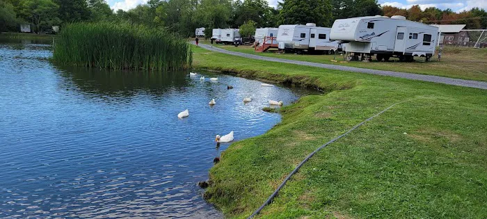 Lynch's Pot O' Gold Picture 1