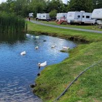 Lynch's Pot O' Gold ico