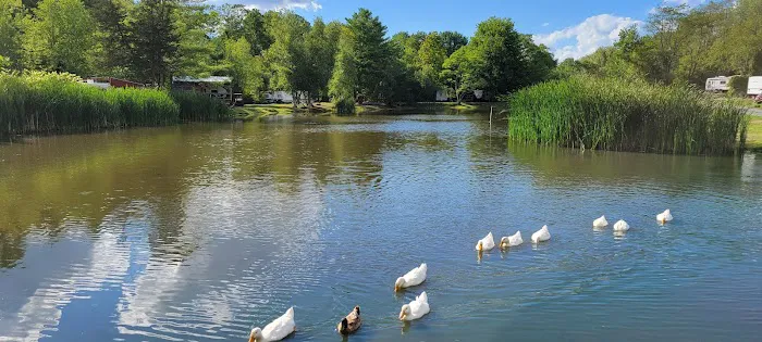 Lynch's Pot O' Gold Picture 2