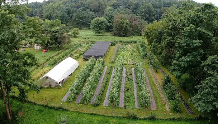 Wild Hudson Valley Picture 6