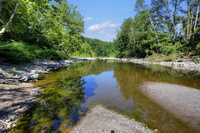 Wild Hudson Valley Picture 5