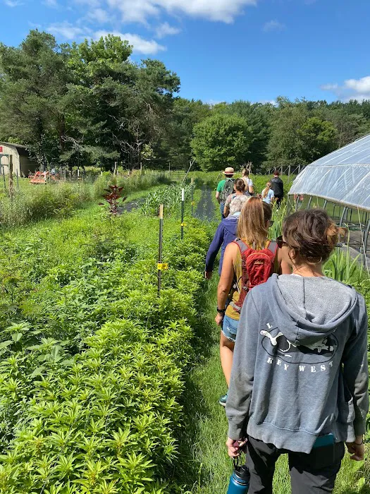 Wild Hudson Valley Picture 4