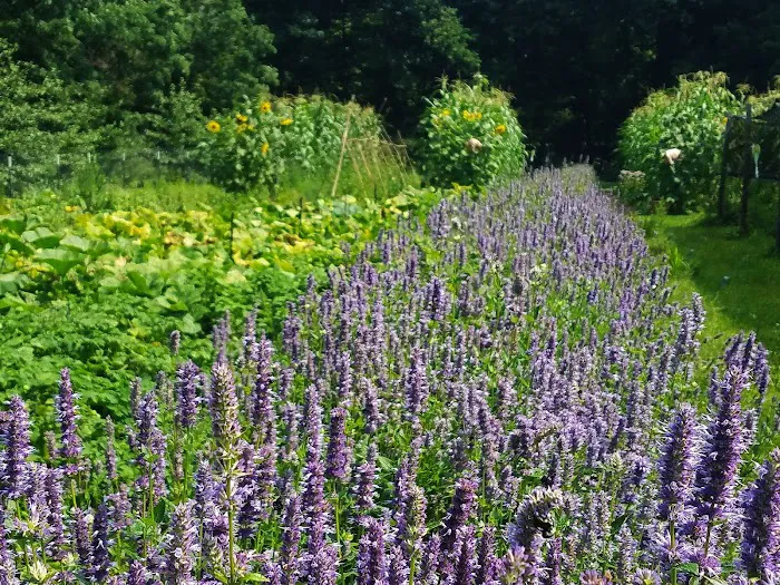 Wild Hudson Valley Picture 9