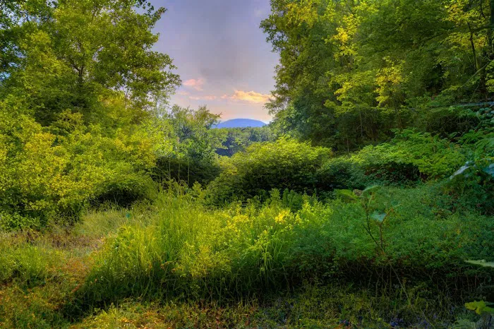 Wild Hudson Valley Picture 8