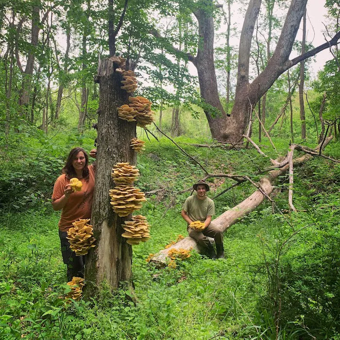 Wild Hudson Valley Picture 10