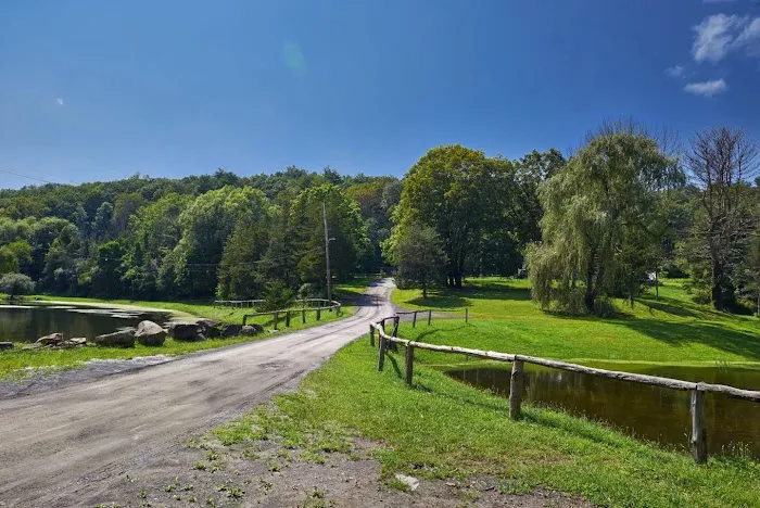 Camp Catskills RV Park Picture 8