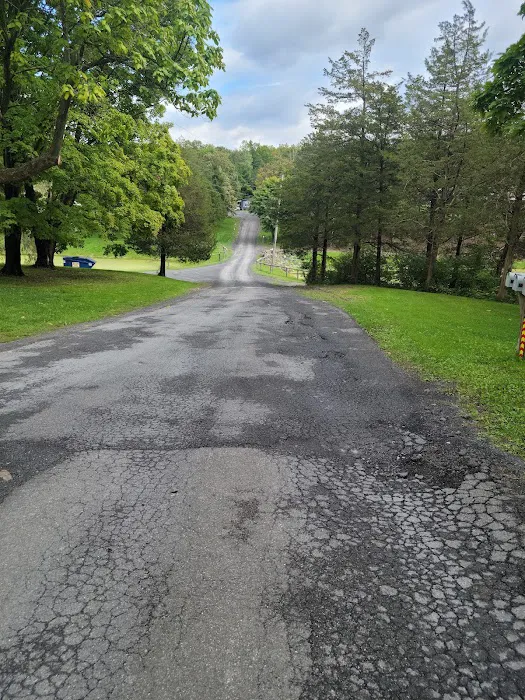 Camp Catskills RV Park Picture 10