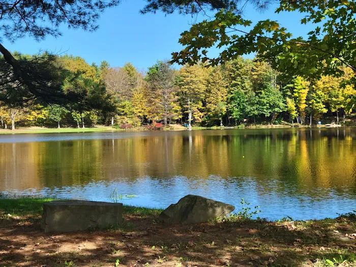 Earlton Hill Campground & RV Park LLC Picture 5