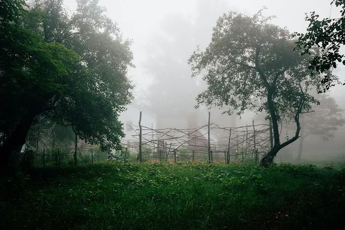 Bellfire Farm in the Catskills Picture 7