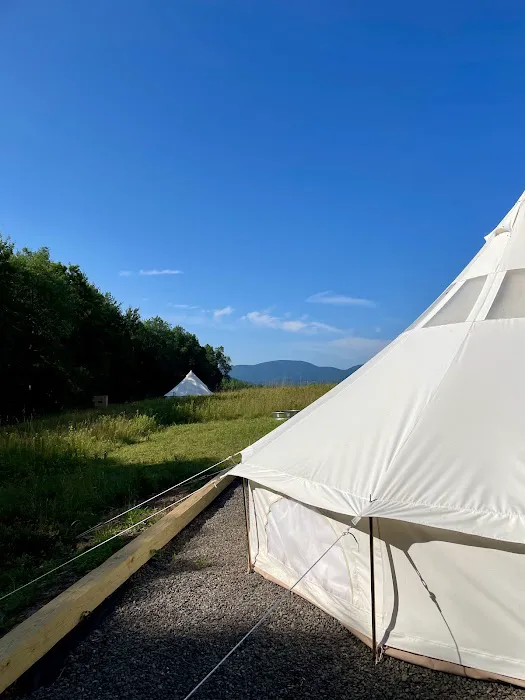 Hengarth Farm Picture 8