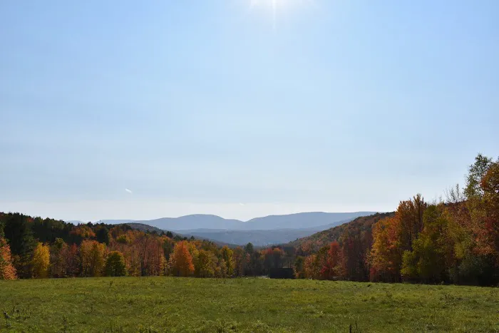 Hengarth Farm Picture 4