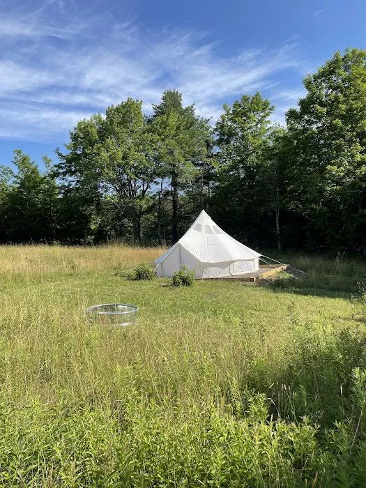 Hengarth Farm Picture 5