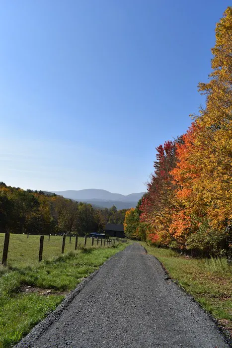 Hengarth Farm Picture 9