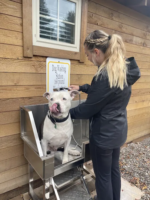 Catskill Mountains/ Gilboa KOA Holiday Picture 5